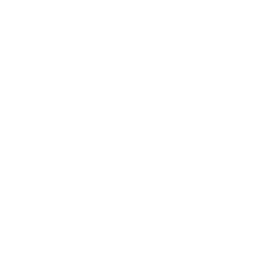 wisag