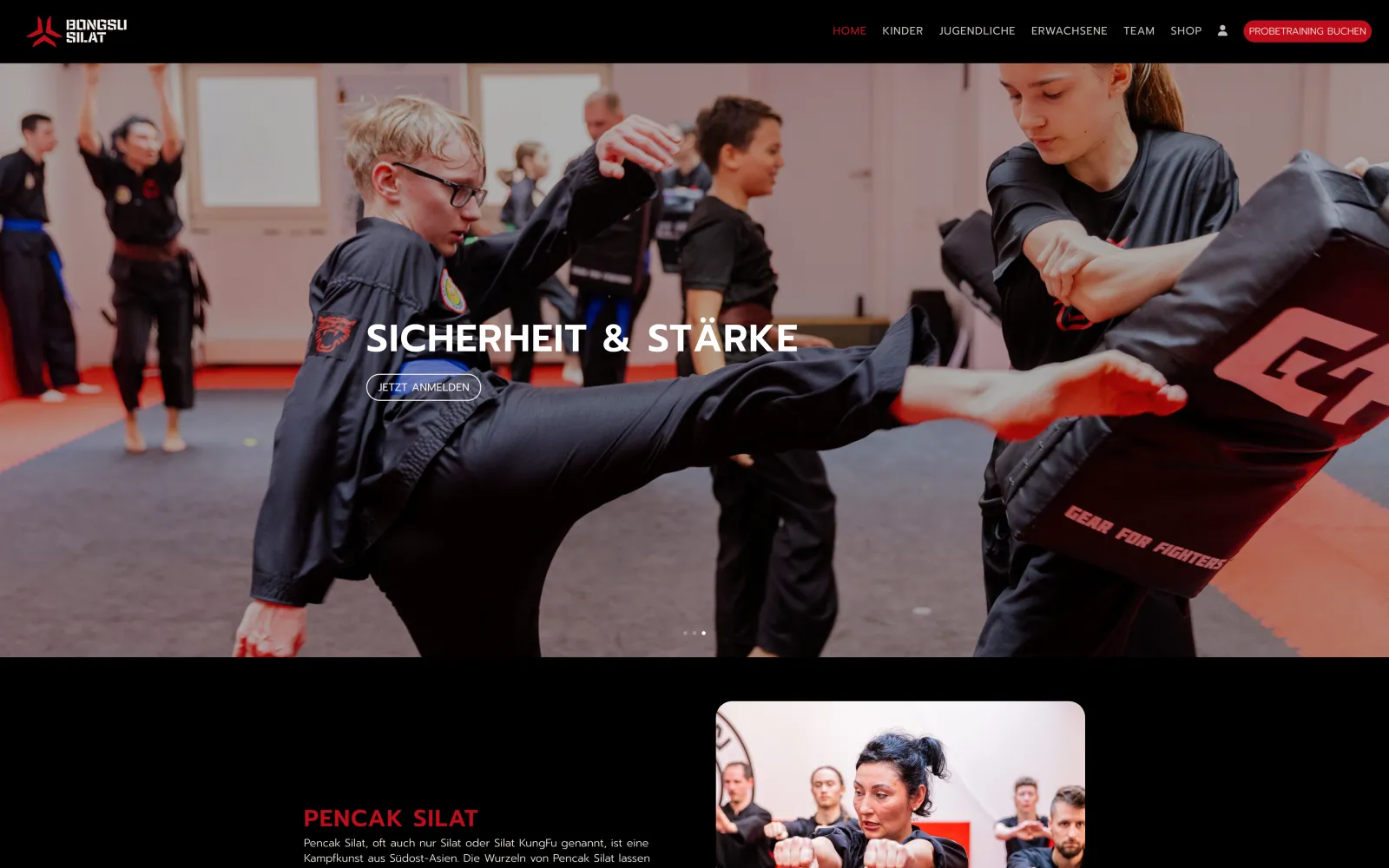 Website Bongsu Silat