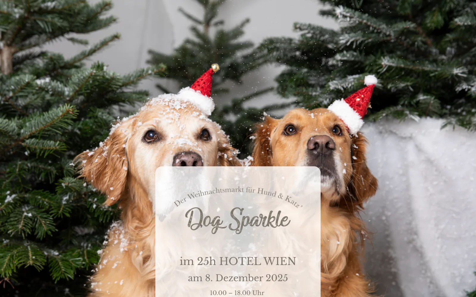 Website Dog Sparkle